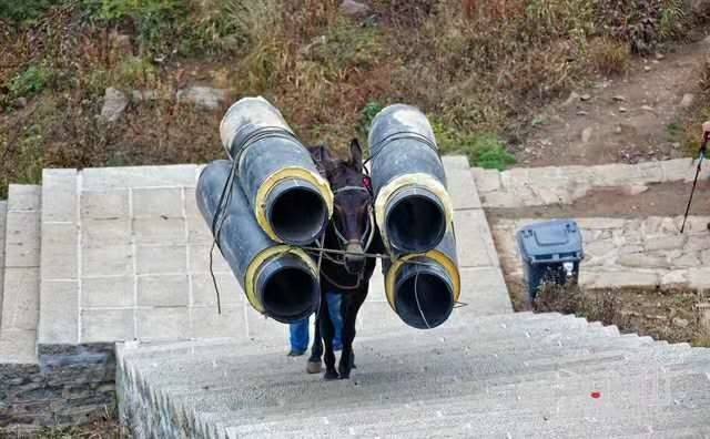 惠州马帮运输